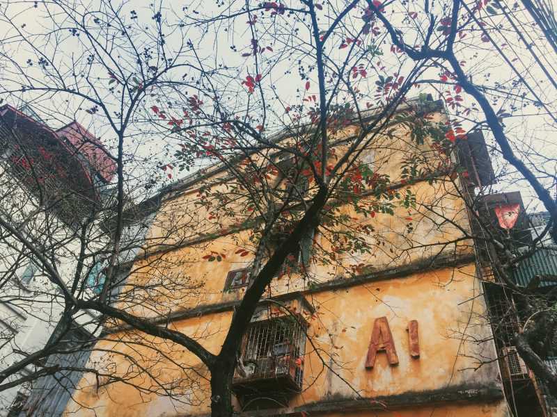 #462: Một ngày mùa đông có niềm vui